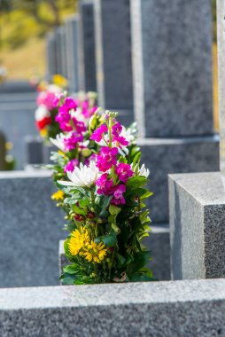 Mezarlıktaki çiçeklerin çeşitliliği