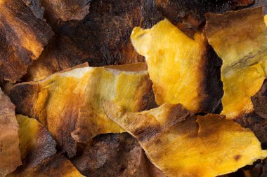 Yakından bakınca kurumuş sarı mango dilimleri görünüyor.