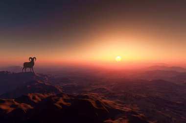 Dağların tepesinde dağ keçileriyle gün batımının güzel bir görüntüsü.