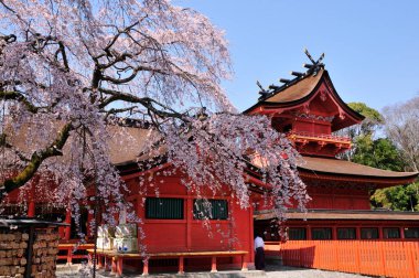 Eski Japon türbesini ziyaret eden turistlerin manzaralı görüntüleri