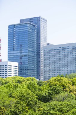 Şehirdeki modern bina ve yeşil ağaçlar 