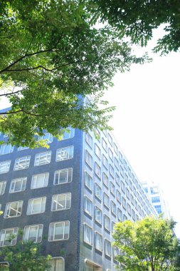 modern yapı ve yeşil ağaçlar 