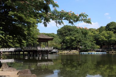 Çok güzel antik bir Japon tapınağının manzaralı tasviri.