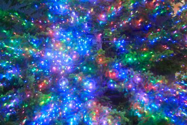 Güzel noel ışıkları Noel ağacında        