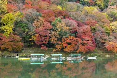 Sonbahar mevsiminde Dağ Gölü 'nde tekneler. Japonya.