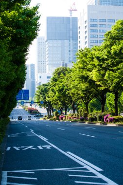 Şehir caddesinde ağaçları olan modern binalar. 