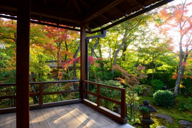 Sonbaharda Japon ev bahçesi.