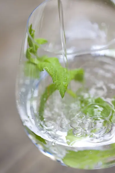 Water Met Muntblaadjes Glas — Stockfoto