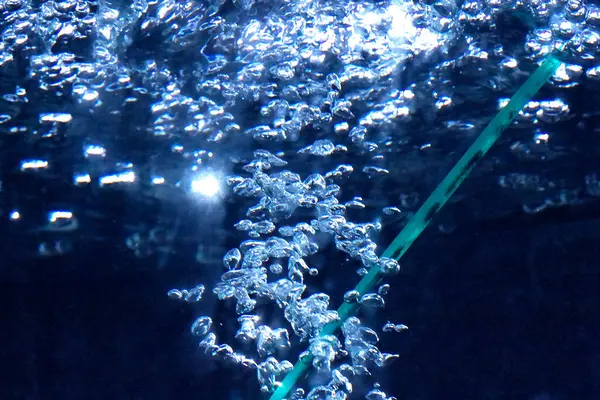 oxygen bubbles from air pump in aquarium