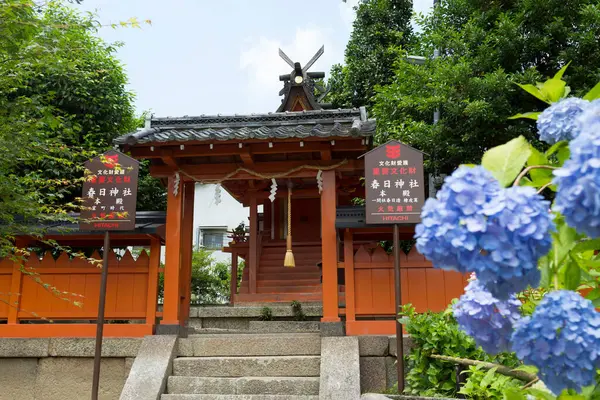 Cenário Impressionante Torno Antigo Santuário Japonês — Fotografia de Stock
