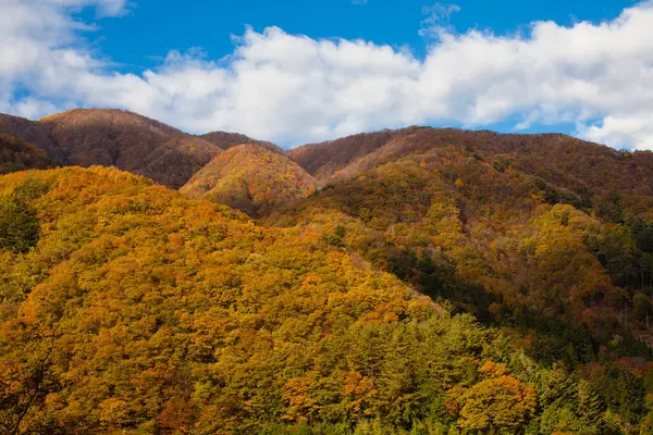 Μπλε Ουρανό Δάσος Φθινόπωρο Στα Βουνά Πολύχρωμα Δέντρα — Φωτογραφία Αρχείου