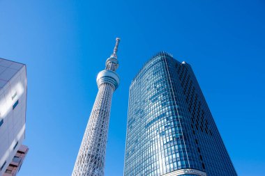Tokyo Skytree ve Tokyo Skytree Doğu Kulesi Sumida Ward, Tokyo, Japonya 'da açık mavi gökyüzüne karşı 