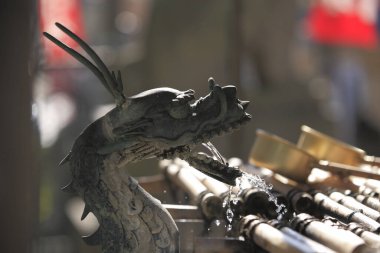 Japon parkına yerleştirilmiş güçlü ejderha, güneş ışığıyla yıkanmış..