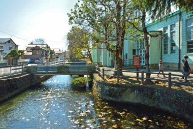 Japon binalarının ayırt edici yapısal formları sokak boyunca resim gibi bir kompozisyon oluşturuyor..