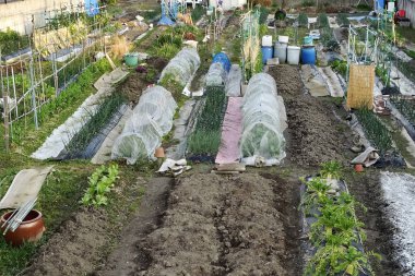 Yükseltilmiş yataklar ve plastik tüneller içeren sebze bahçesi