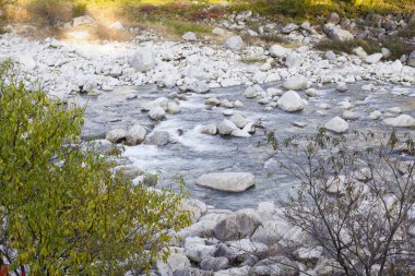 Taşlarla kaplı dağ nehri manzarası 