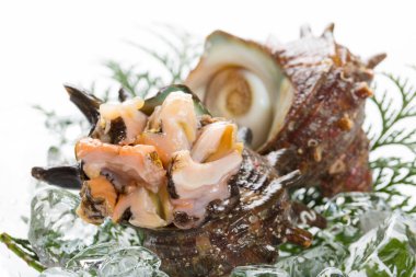 Buzlu taze gurme istiridyelerin yakın plan görüntüsü 