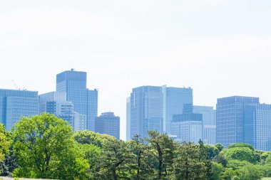 Şehirdeki gökdelenlerin önündeki yeşil ağaçlar