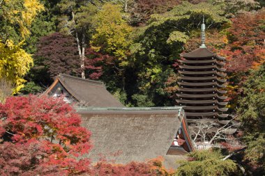 Tanzan Tapınak sonbahar, Nara-Ken, Japonya