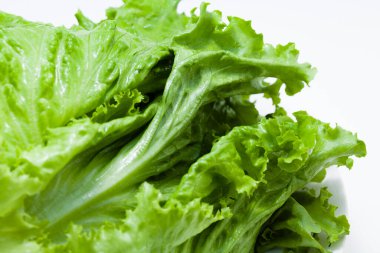 Beyaz arkaplanda marul salatası izole.