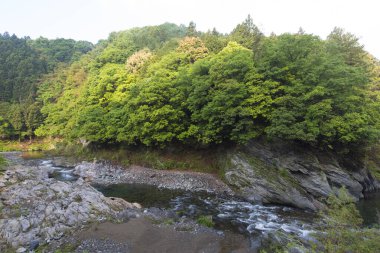 beautiful landscape with river in the mountains     