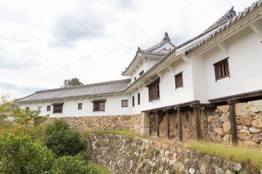 Antik tapınak binası, Asya kültürel mimarisi