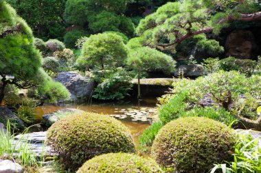 Japon bahçe gölet ile