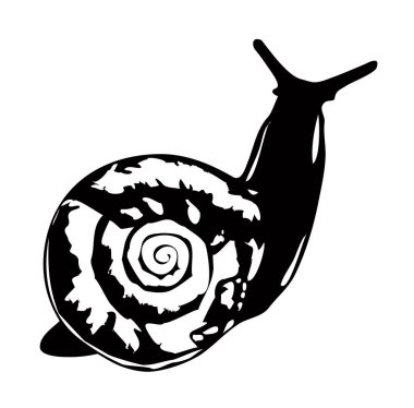 Kabuk simgesinde salyangoz silueti, basit biçim