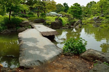 Güzel Japon bahçesi doğa manzarası 