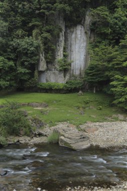Dağ ormanlarındaki güzel nehirler ve kayalar