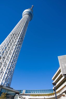 Tokyo Skytree, yukarı bakan kule. Tokyo gökyüzü ağacı için alt manzara.