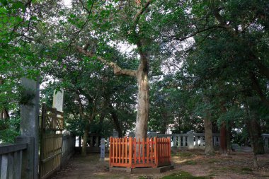 Tarihi Japon tapınağı, din konsepti