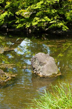 Parktaki nehrin güzel manzarası