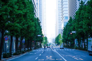 Şehirde yeşil ağaçları olan modern bir bina. 