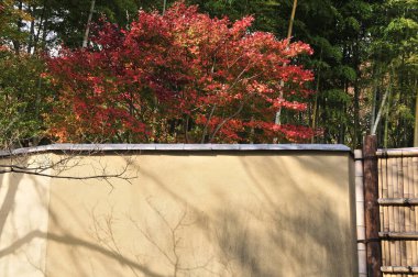 Duvarlı ve bambu kapılı güzel bir sonbahar parkı.