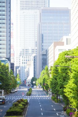 Şehir caddesinde ağaçları olan modern binalar. 