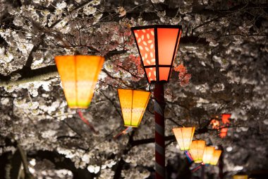 İlkbahar bahçesinde kiraz çiçekleri ve yanan fenerler              