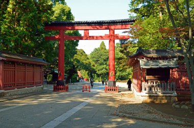 Eski bir Japon tapınağının nefis manzarası.