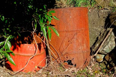 Two rusty barrels surrounded by green plants and stones