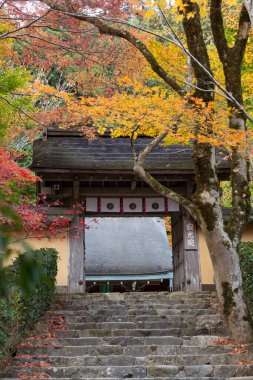 Çarpıcı antik bir Japon tapınağının resimli görüntüsü.
