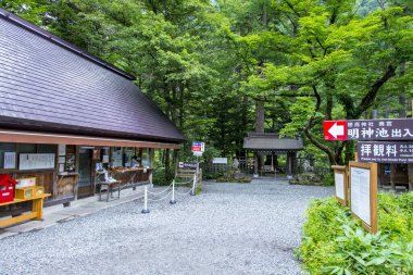 Kamikochi, Nagano Bölgesi. Ormana girer. 
