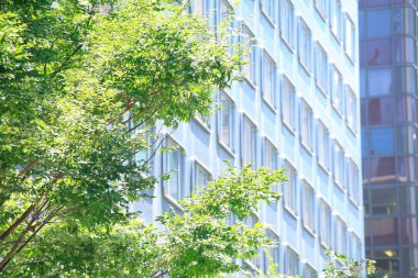 modern yapı ve yeşil ağaçlar 