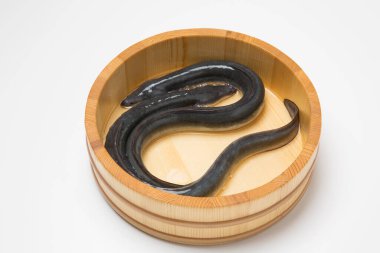 Tahta kasede dinlenen yılan balığı.