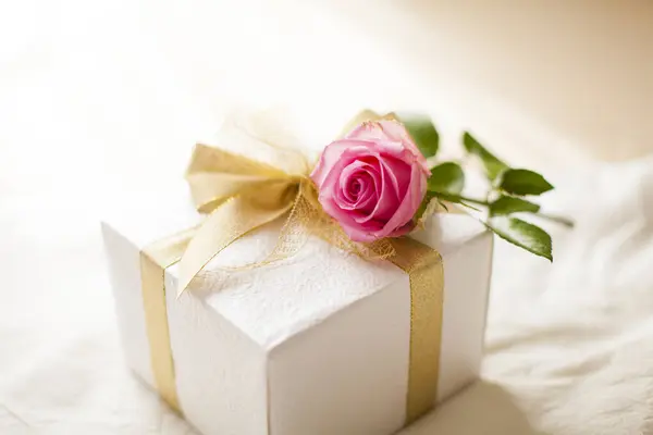 Gift Box Flower Ribbon Background — Stock Photo, Image