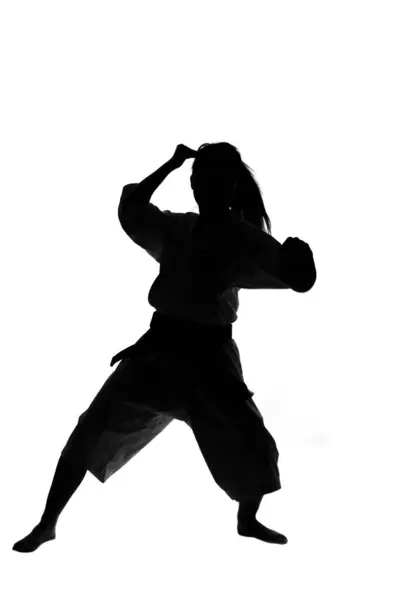 Silhouette Person Practicing Martial Arts Traditional Kimono Isolated White Background — Stock Photo, Image