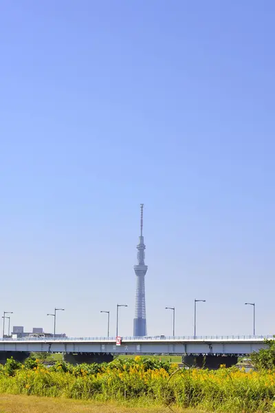 화창한 타워와 스카이라인 — 스톡 사진