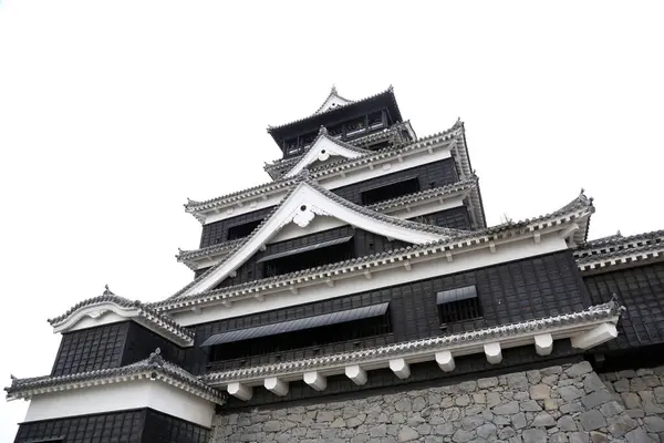 观摩庙宇 日本传统建筑 — 图库照片