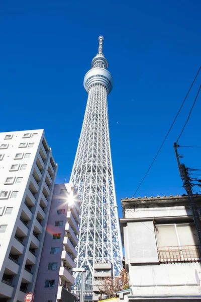 Tokyo Skytree, yukarı bakan kule. Tokyo gökyüzü ağacı için alt manzara.