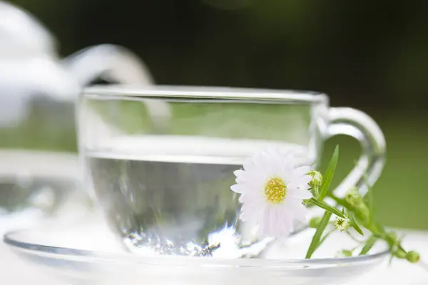 Glas Teetasse Und Kamillenblüte — Stockfoto