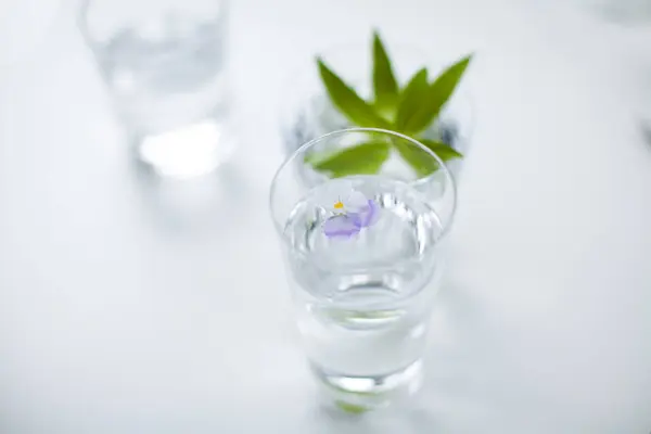 Νερό Ποτήρι Και Λευκό Λουλούδι Και Πράσινα Φύλλα — Φωτογραφία Αρχείου